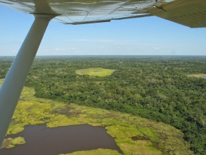 Visit Pantanal - Pantanal Sul e Serra da Bodoquena