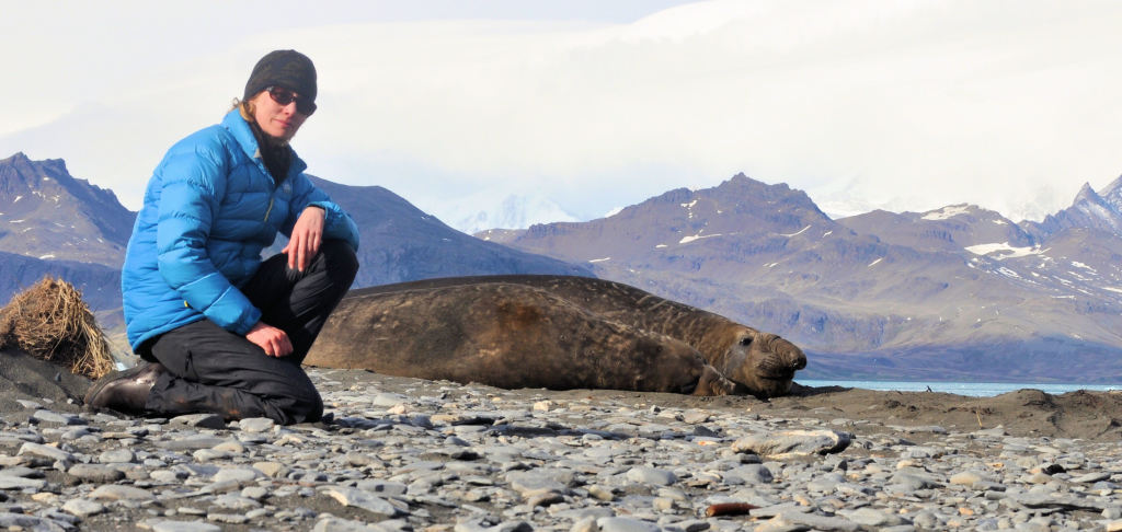 Mel & Elephant Seal