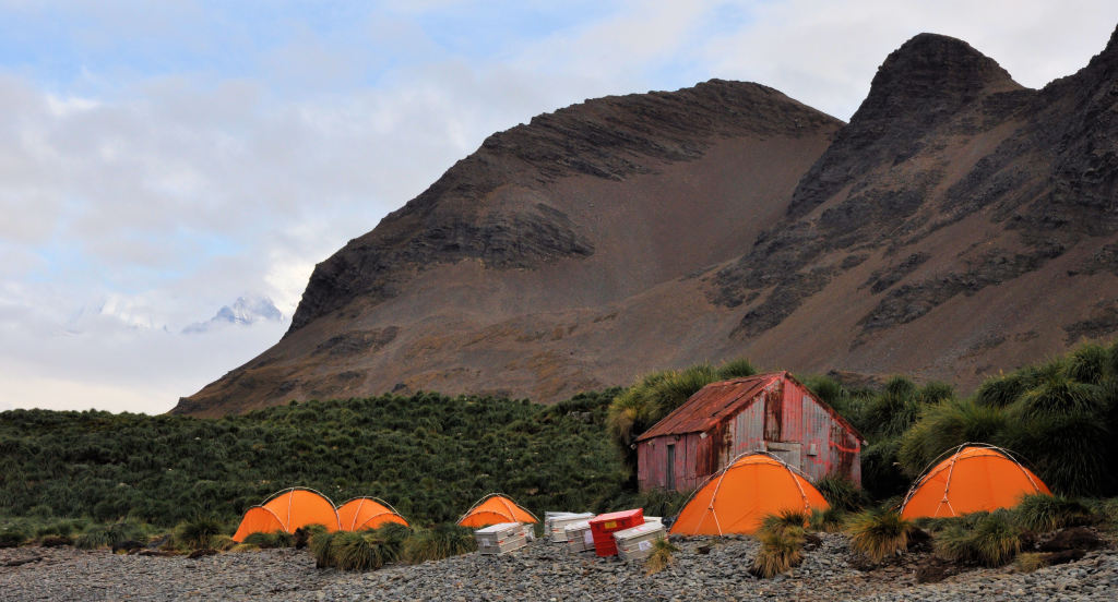 Our camp ground on the gravelly coast (the hut is a relic from the whaling days of South Georgia).