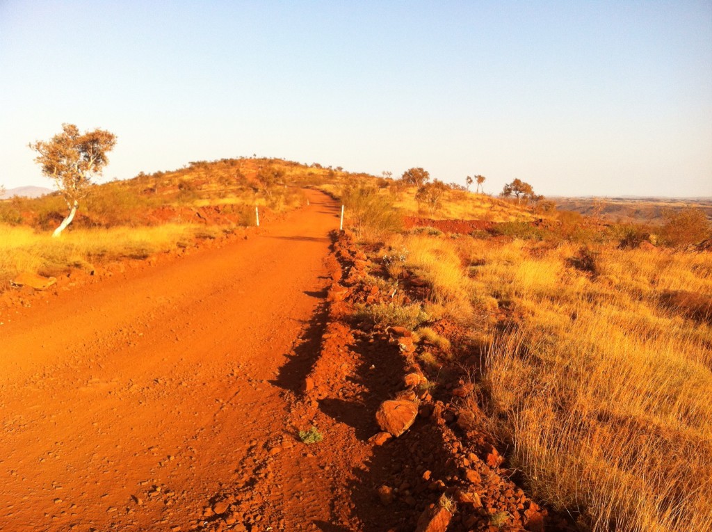 Exploration tracks and side roads leading to drill lines. 