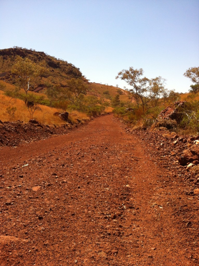 Tracks winding around the base of a typical high relief Brockman hill.