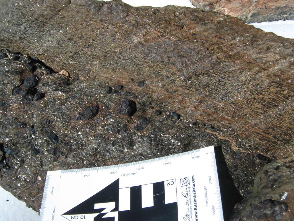 Figure 11. A sharp contact between an amphibolite and a garnet-tourmaline schist with large (>1 cm diameter) garnet porphyroblasts.