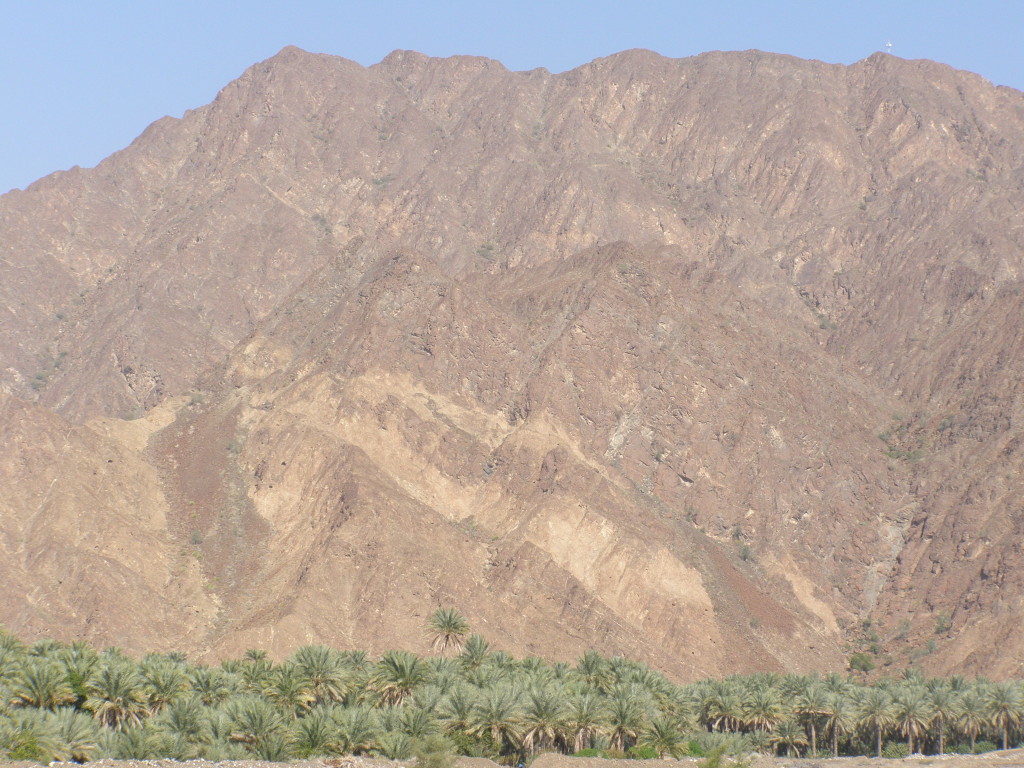 Fig. 1. Dark weathering harzburgites and pale brown dunites of the Oman ophiolite mantle sequence.