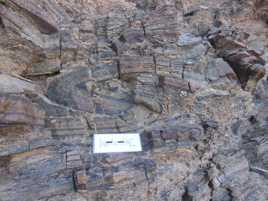 Fig. 10. Folded meta-cherts in the greenshist facies metamorphic sole structurally beneath amphibolites.