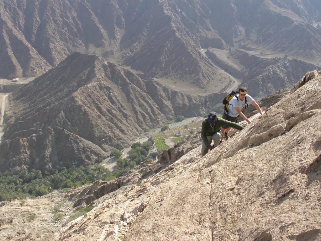 Fig. 11. The contact between the Bani Hamid granulites (white) and the ultramafic rocks of the mantle sequence above. 