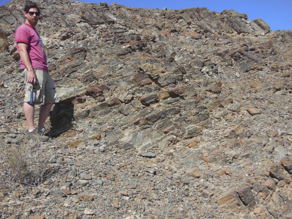 Fig. 7. Mylonitised harzburgite, dunite and lherzolite in the Banded Ultramafic Unit, base of the ophiolite.