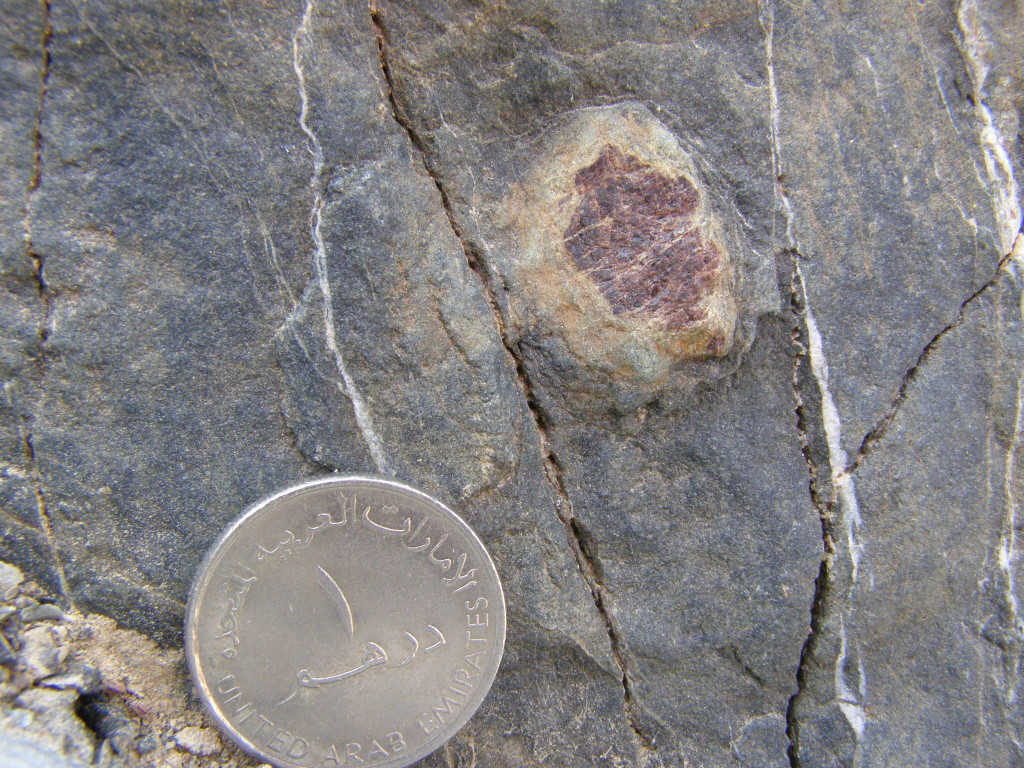 Fig. 8. Enclaves of garnet and clinopyroxene granulite within hornblende + plagioclase amphibolites, top of the metamorphic sole. 