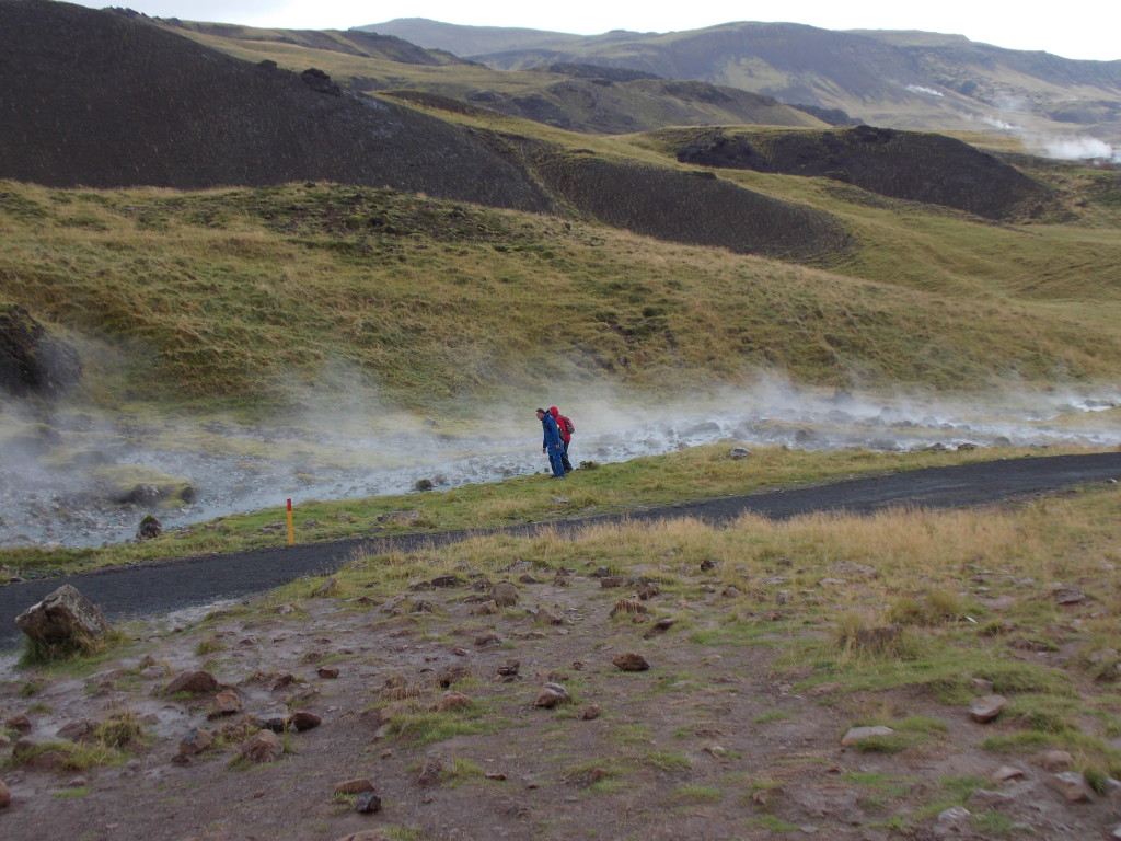 Ria and Paul checking out the steaming streams at Hveragerði.