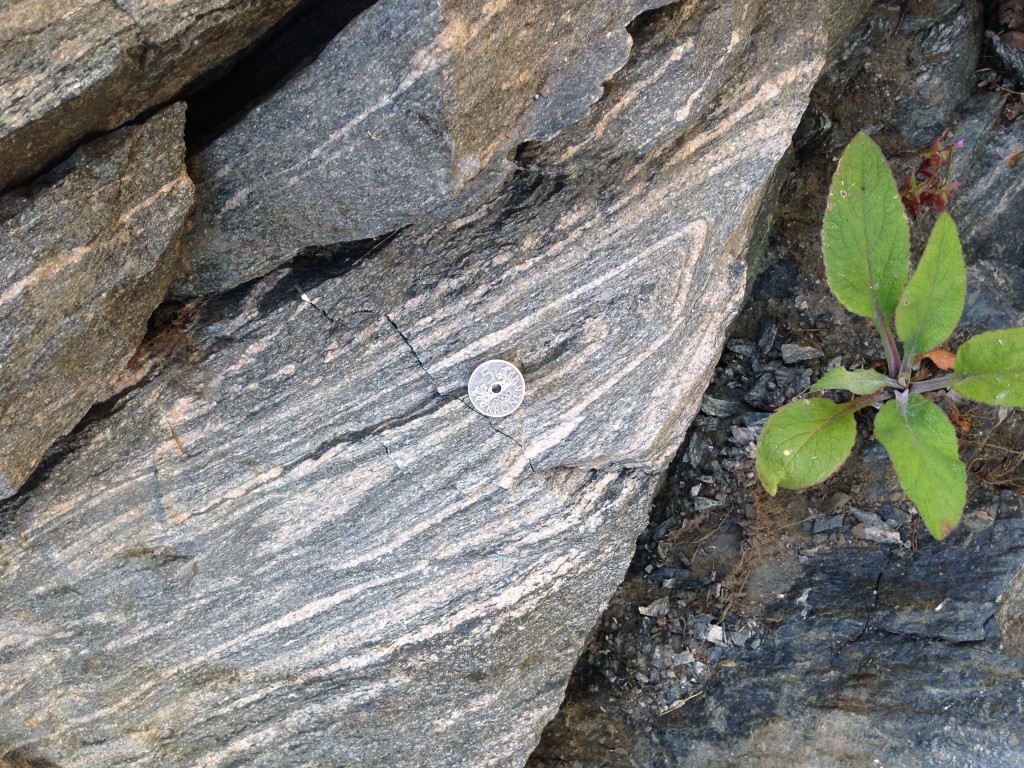 Isoclinal fold in western gneiss region