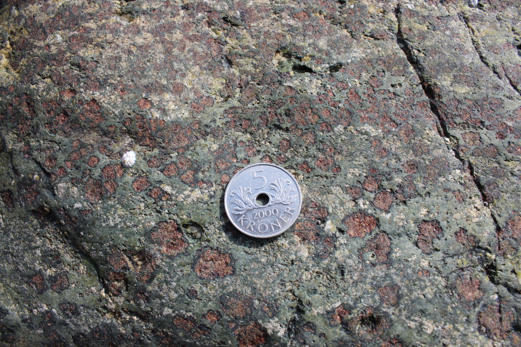 weathered face of eclogite showing hornblende symplectite reaction rims (black) around garnet (red) with clinopyroxen (green).