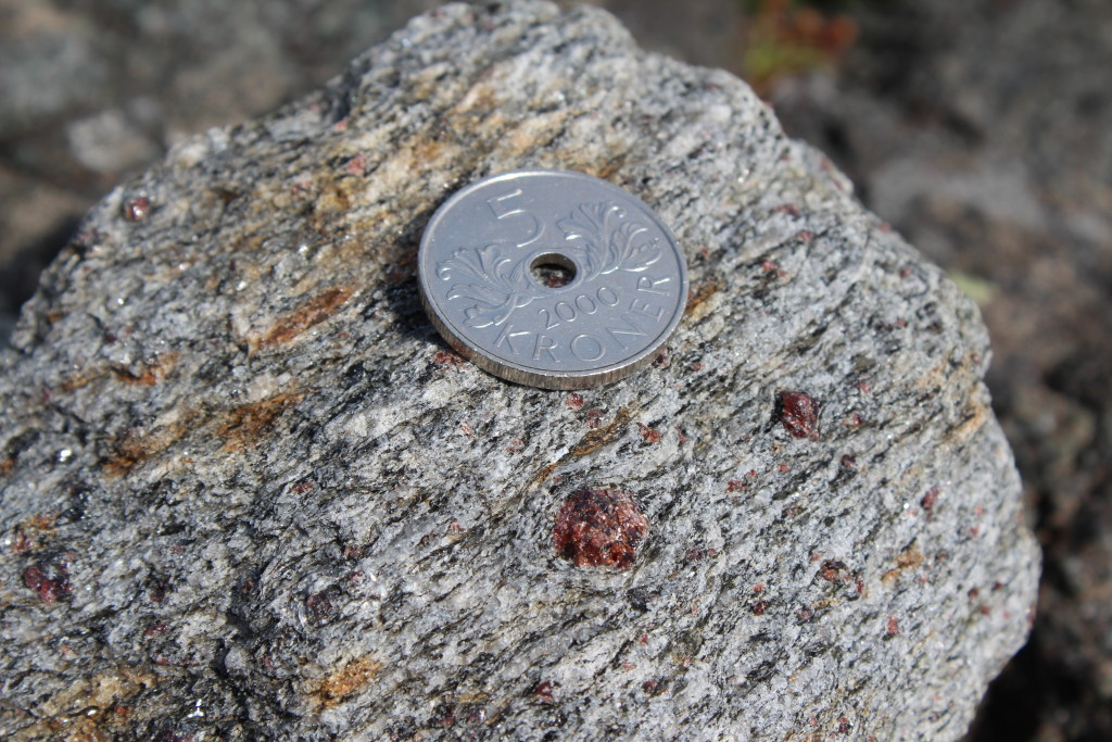 Garnet-biotite-gneiss.