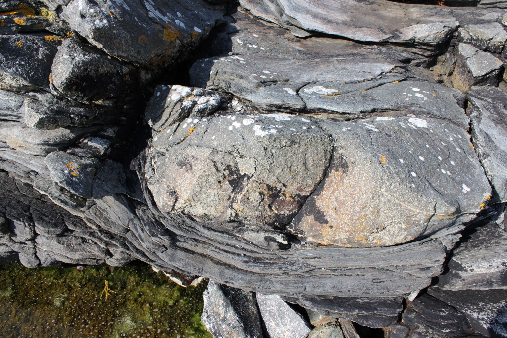 Eclogite boudin within gneiss.