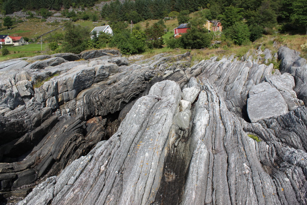 Sub-vertical foliation of gneisses near the Grytting eclogite locality.