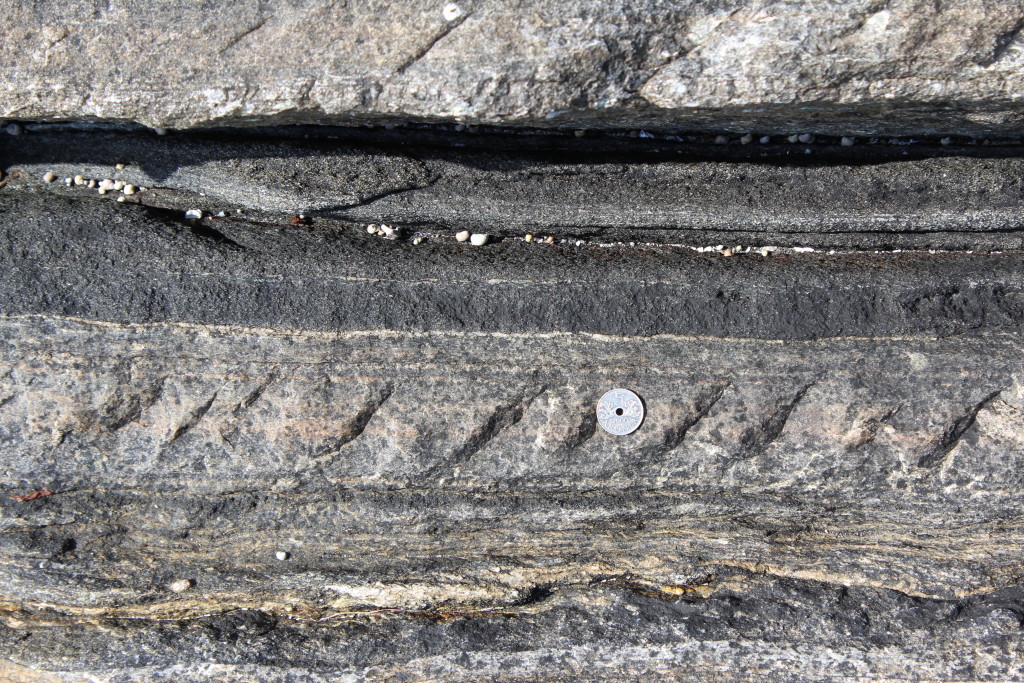 En echelon fractures forming only in the more feldspathic gneiss layers according to rheological contrasts