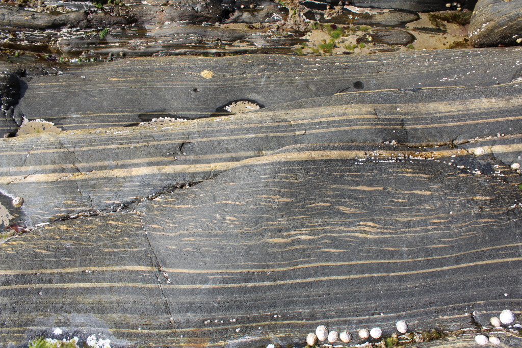 Extensional fabric in gneiss, sense of shear is top-to-the-left