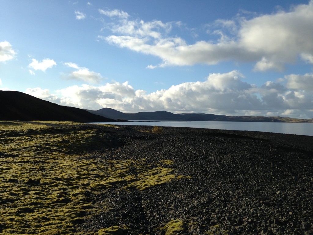 Kleifarvatn lake on the Reykjanes Peninsula. Cryptogamic communities thriving on loose ground on the lake margin.