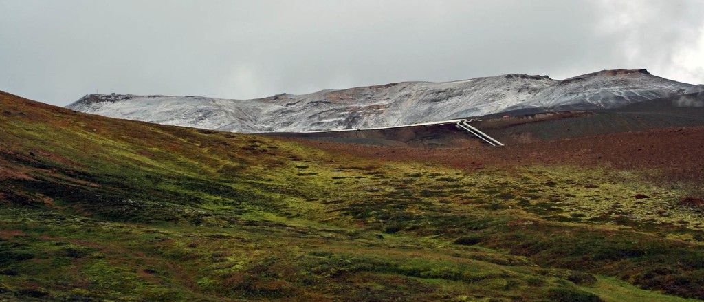 Extensive mixed cryptogamic communities on slump slopes near to the summit of Krafla (note pipeline from a geothermal power plant below us).