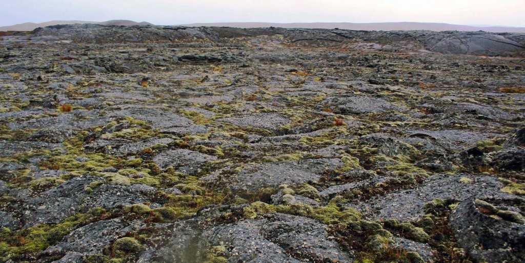 Myvatn Fires lava field. Widespread pahoehoe examples, as well as cryptogams.