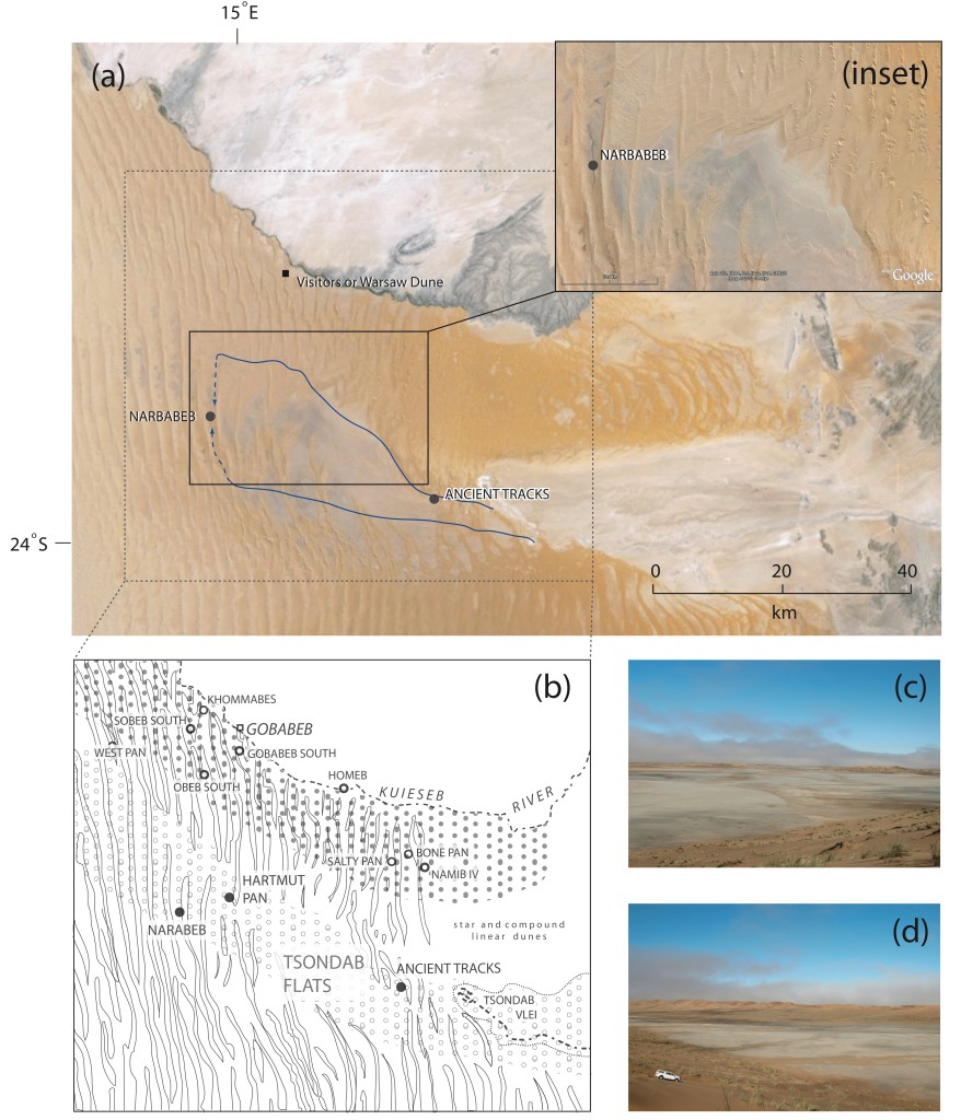 Photo 4: Evidence for a much mightier former Tsondab River… (or peruse doi:10.1016/j.jafrearsci.2013.02.003 for the full figure caption) 