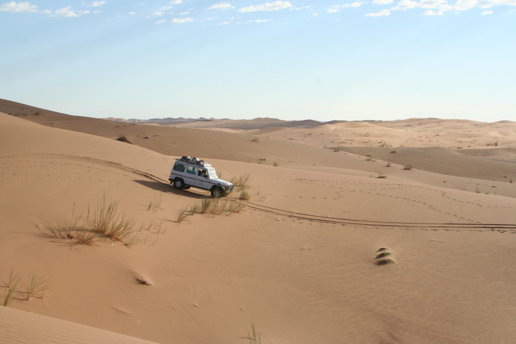 Photo 8: Navigating the gentler terrain of some of the smaller dunes. 