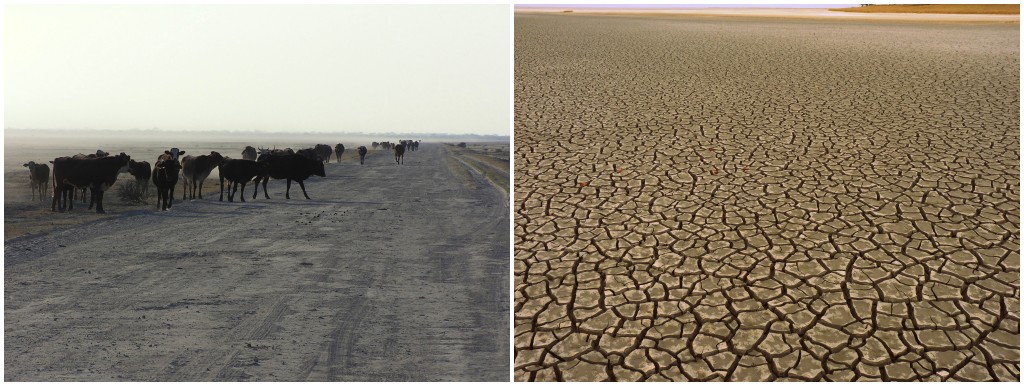 Left: The Ngami basin (Dautsa ridge shoreline just visible in the background).  Right: Sua pan in the Makgadigkadi during the dry season. 