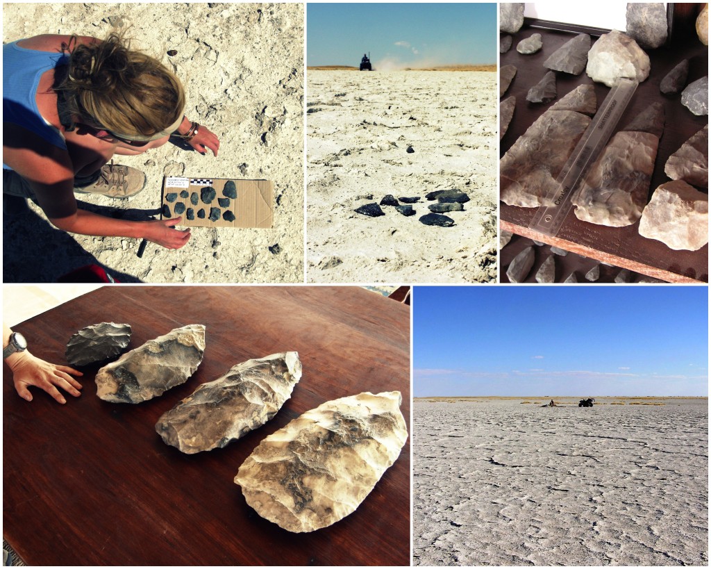 Above: Mapping surface distributions of Palaeolithic tools, the remnants of past inhabitants of the Makgadikgadi basin.  Lithic tools are predominantly MSA within the Makgadikgadi complex itself but components of these assemblages are extraordinary including what are likely to be some of the largest hand axes in the world (bottom left – my hand for scale).