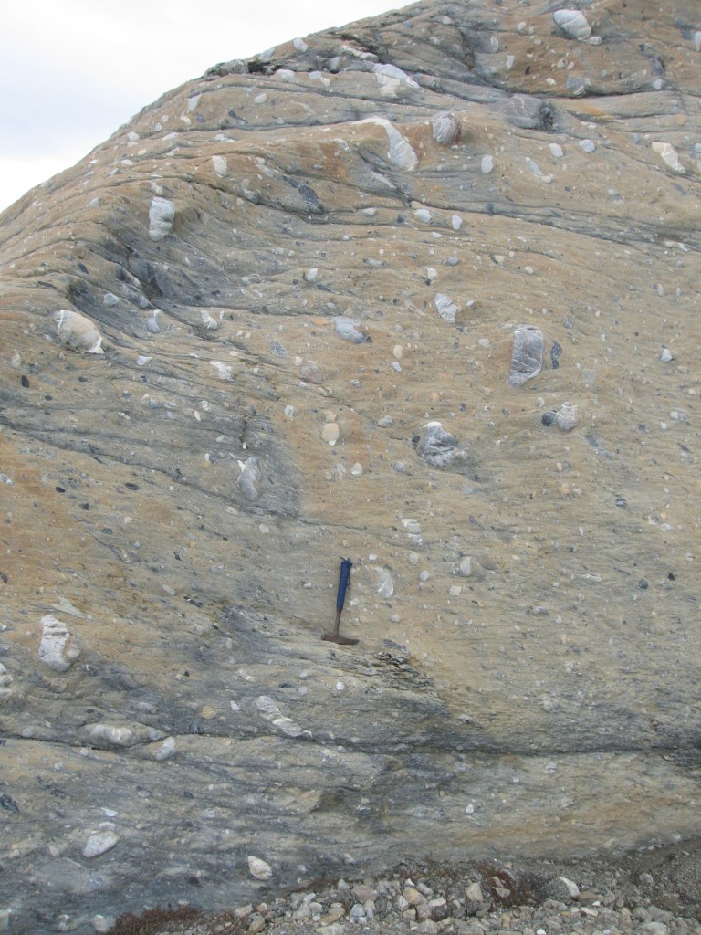 Tilloids of the diamictite unit in Wedel Jarslberg Land