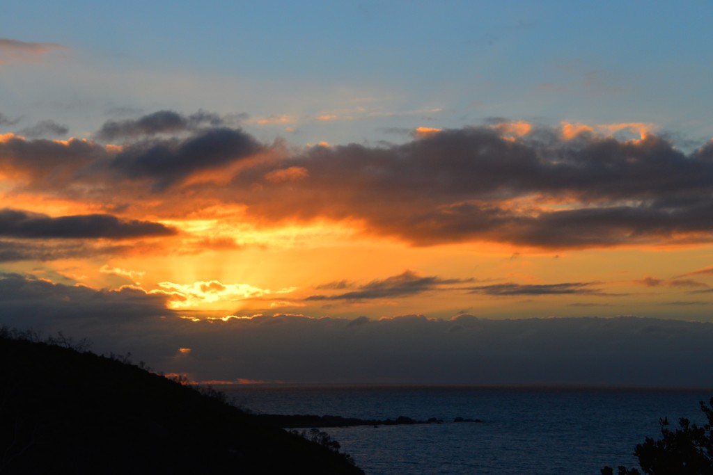 An Albany sunrise