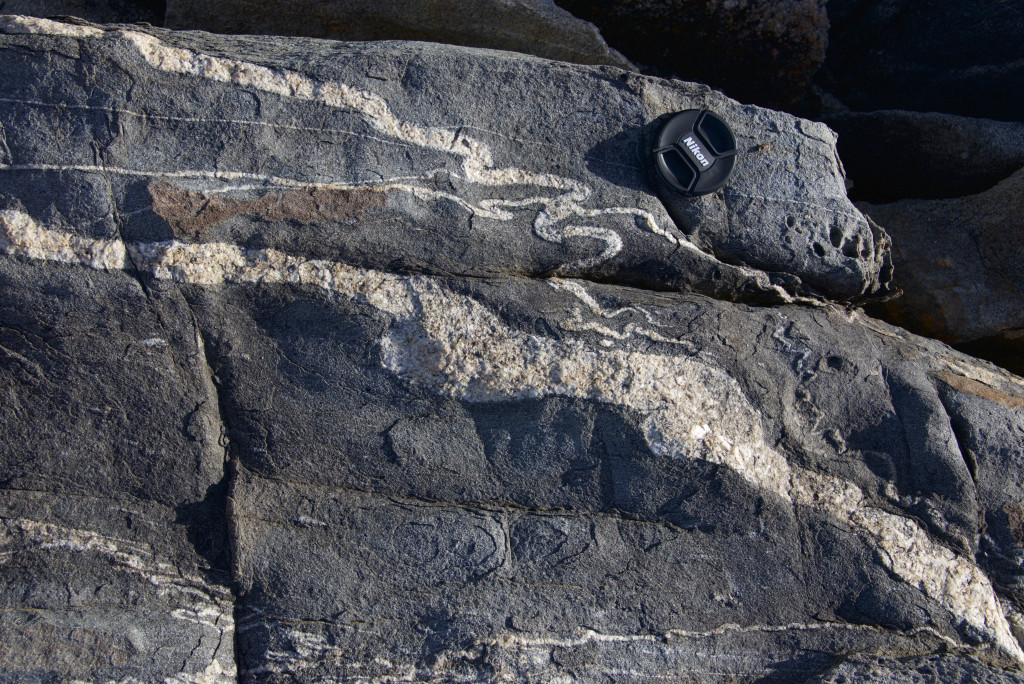 Incongruent folding in granitic dykes