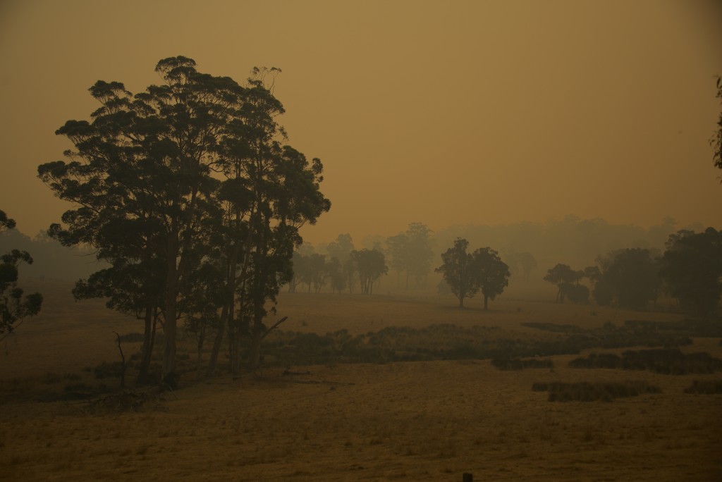 Thick smoky haze from the Northcliffe bushfires