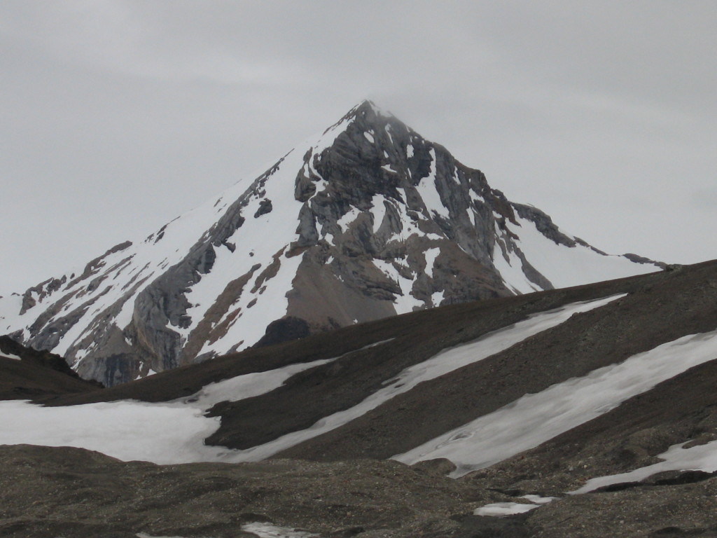 Early Palaeozoic sediments cropping out on the Sofiekammen ridge, Wedel Jarlsberg Land