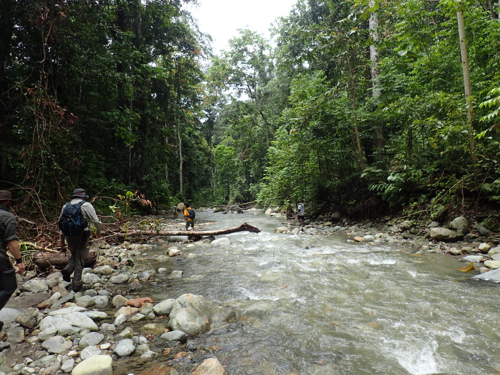 We typically need to hike up rivers to access unweathered outcrops.