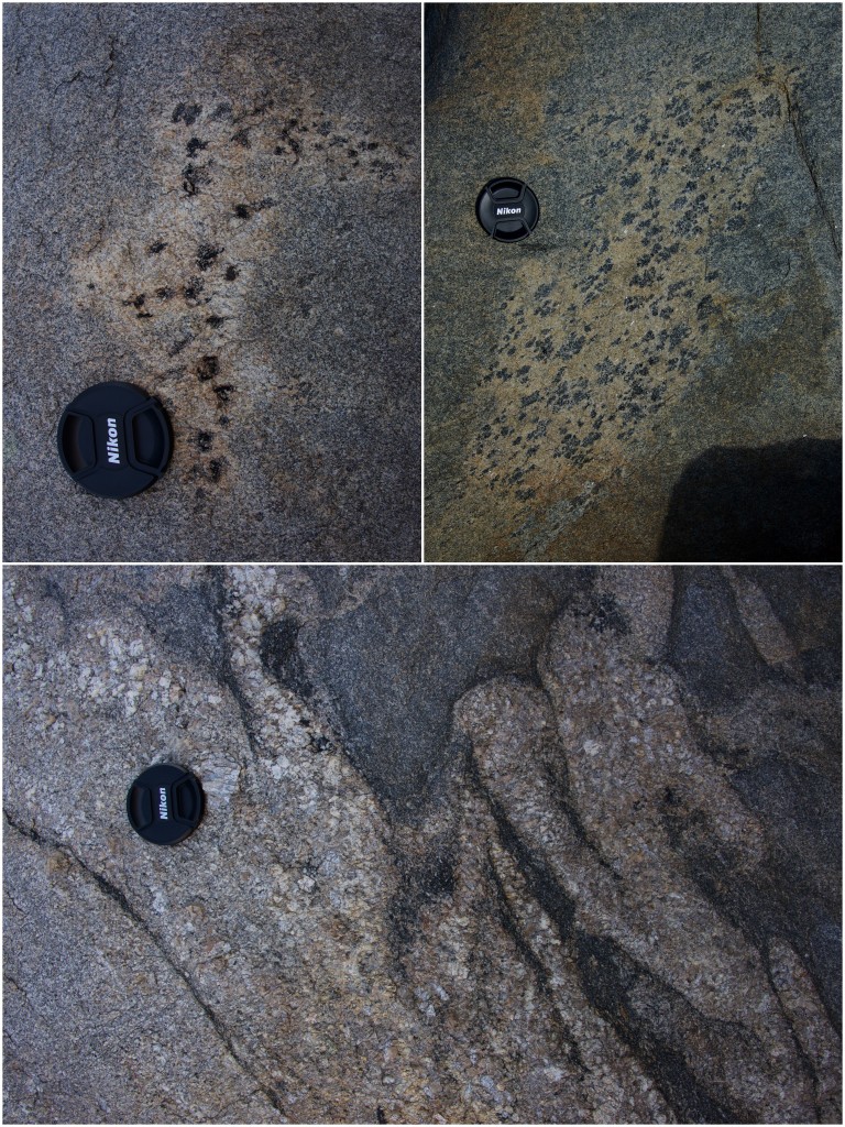 Top: examples of splotchy biotite enclaves in migmatitic gneiss; bottom: deformed granitic intrusions