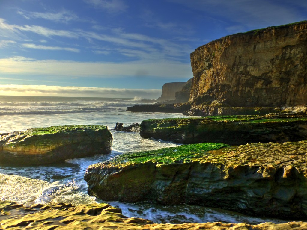 Sea cliffs at Bonny Doon Bay.