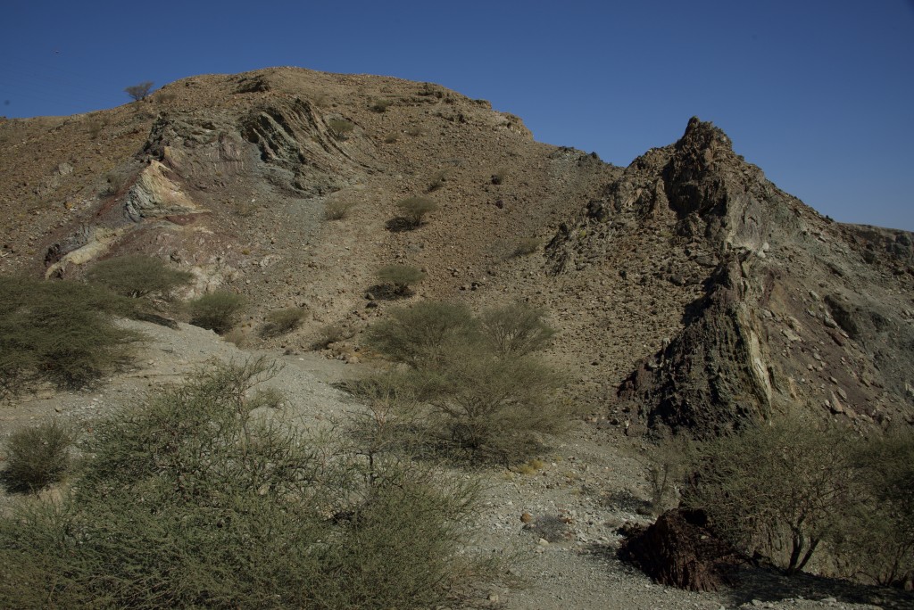 ...much of which were strongly deformed during ophiolite obduction.