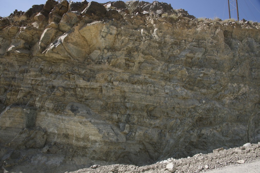 after the camel and beneath the sheeted dykes is the large gabbroic magma chamber that fed the dykes and pillow basalts. These gabbros are layered with cumulate minerals as the more bouyant mineralogies were tapped off the top leaving the cumulates behind...