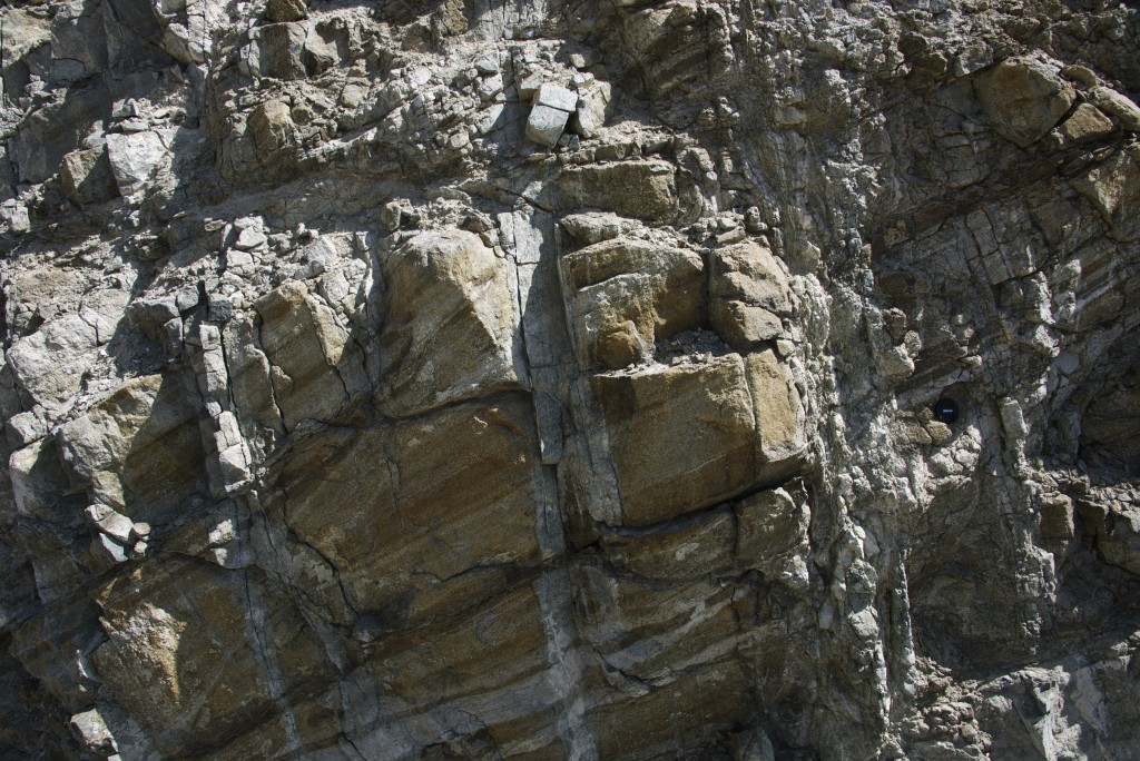 Alteration along fractures in the layered gabbros.