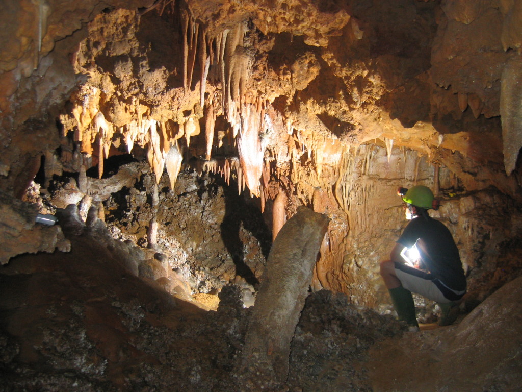 Some of the ancient speleothem deposits found in Cueva d’ Asiul: one of the best things about caving in Spain is that it’s still T-shirt and shorts weather underground!