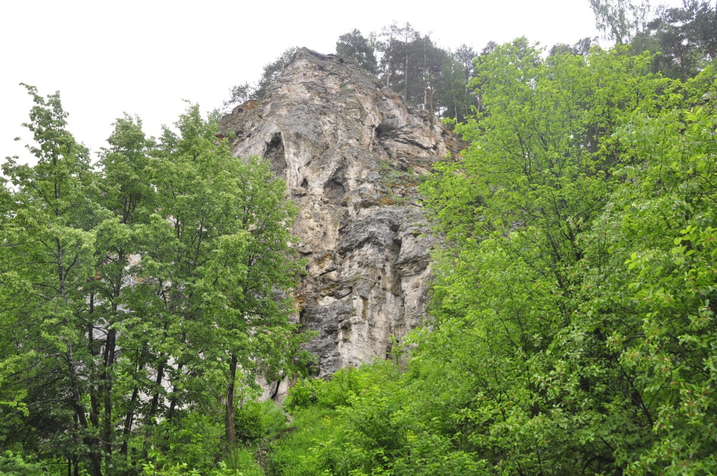 The Yermak reef rising above the forest in the Sylva river valley. Note the large holes halfway up; holes etched out by karst.