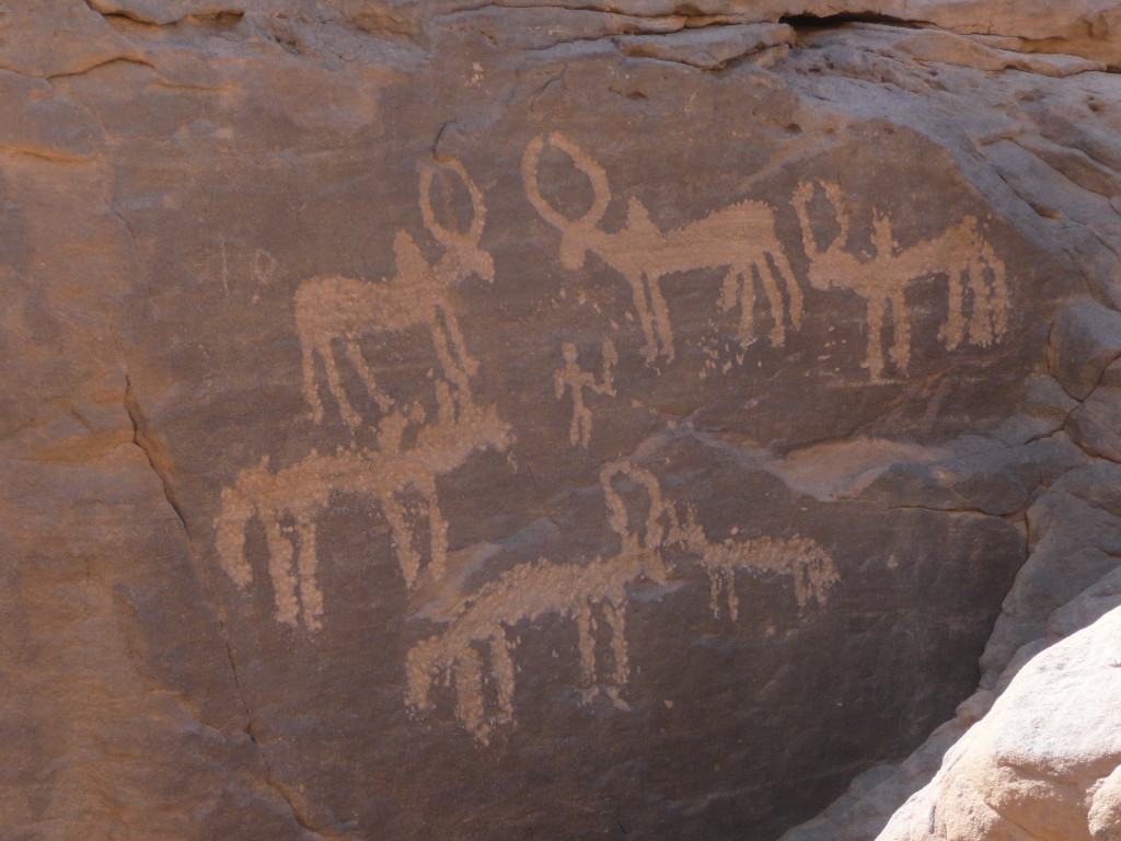 Rock art near Wadi Hammamat.
