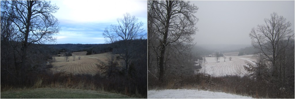 View from the porch of the Hamilton Valley Research Facility.  Fortunately, on the snow day we were doing subsurface sampling in the cave.