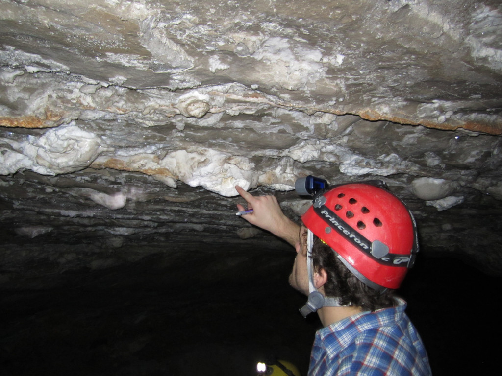 “Snowball” gypsum morphology.