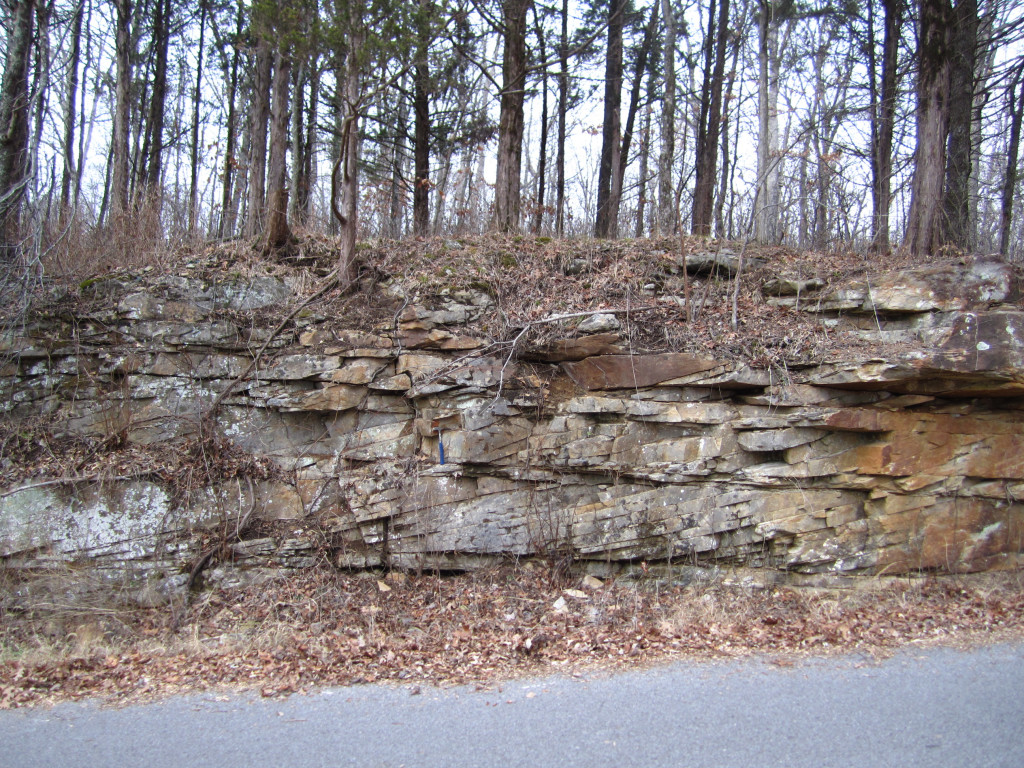 Sample locality for the Girkin Sandstone, a cross-bedded quartz sandstone.  The red staining is from the oxidation of pyrite.  Note the hammer for scale.