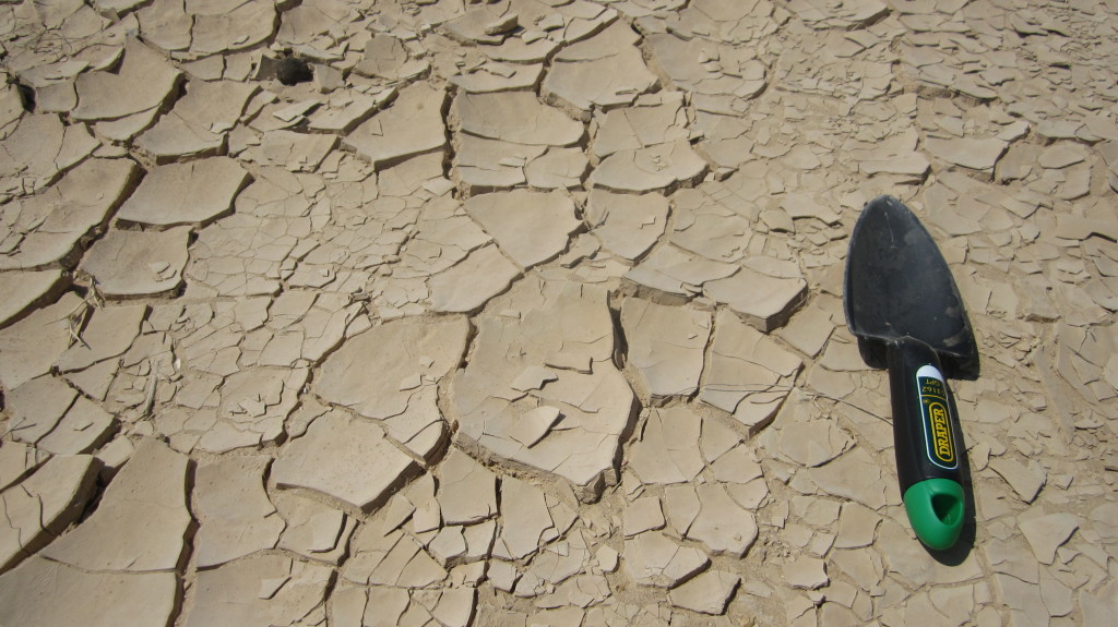 Mudcracks for sampling  in Wadi Kharit.