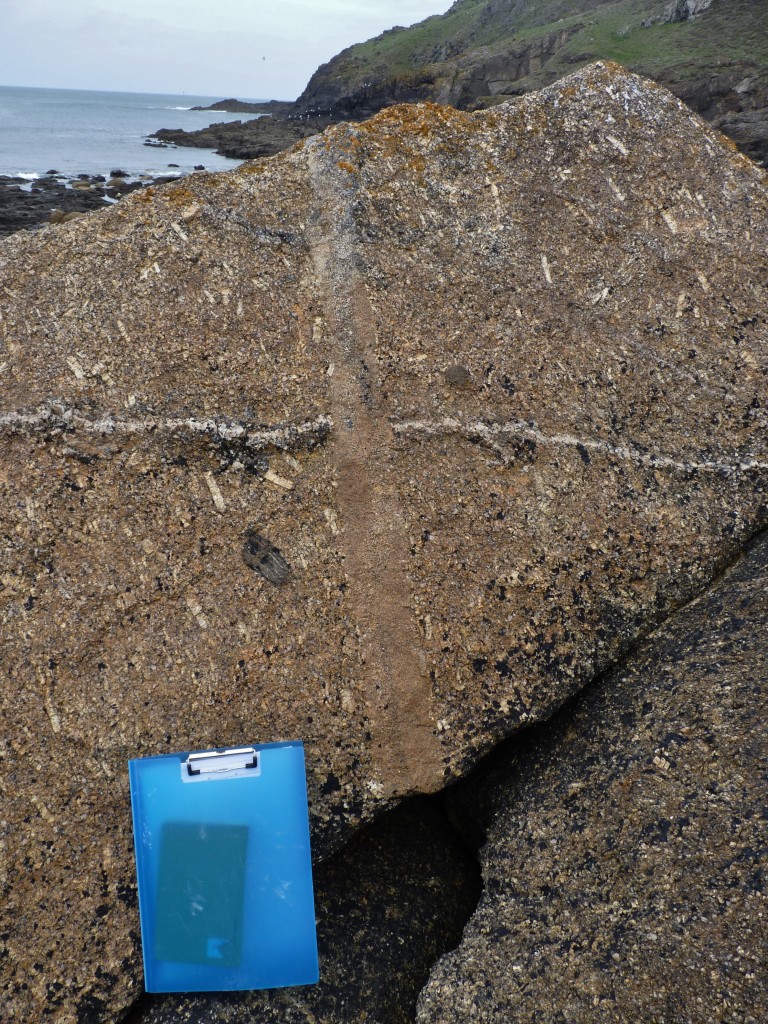 Quartz-tourmaline vein and fine-grained granite cross-cutting a coarse-grained porphyritic granite containing mafic and metasedimentary enclaves. Or...the Cornish flag.