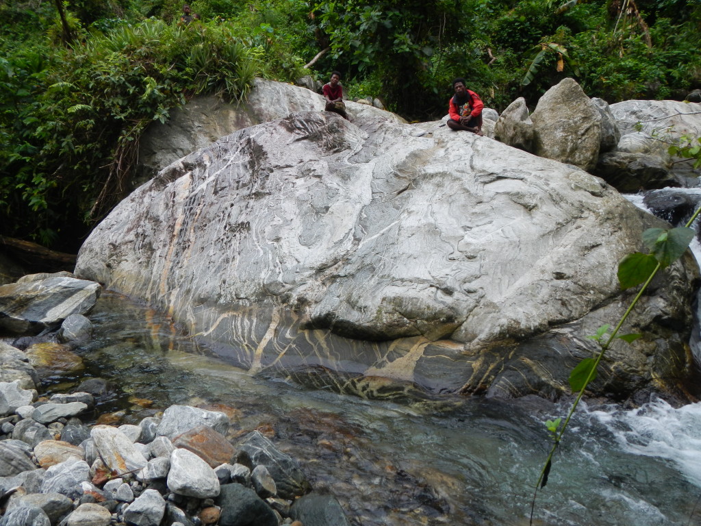 Figure 7. Quartzofeldspathic host gneiss of the core zone exposed along the Fakwaoia River, Goodenough Island. Note the chaotic foliation and abundant crystallized melt.