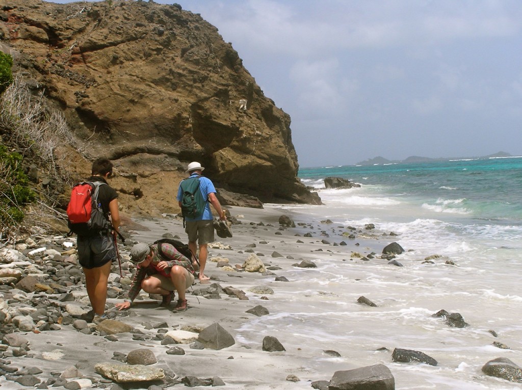 Fig. 2: Cumulate hunting on Petit St Vincent, Grenadines.