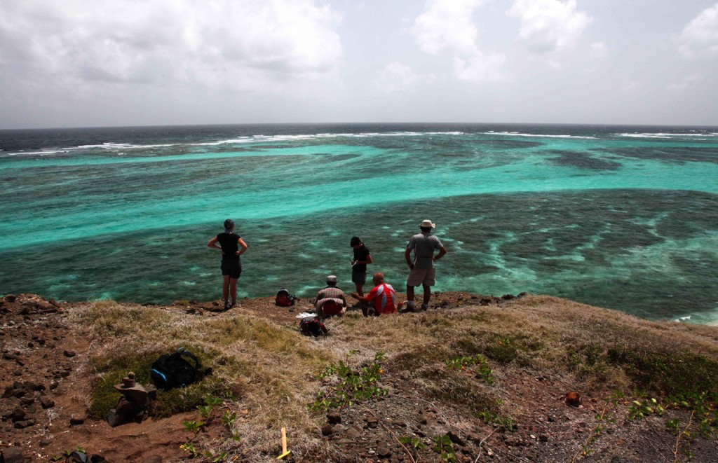 Fig. 5 Recording the day’s work on Petit St Vincent, Grenadines.