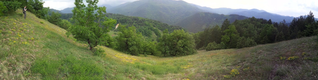 Panoramic view of the Majdanska River valley, which is heavily forested except for some patches of sulfur and arsenic-bearing deposits.