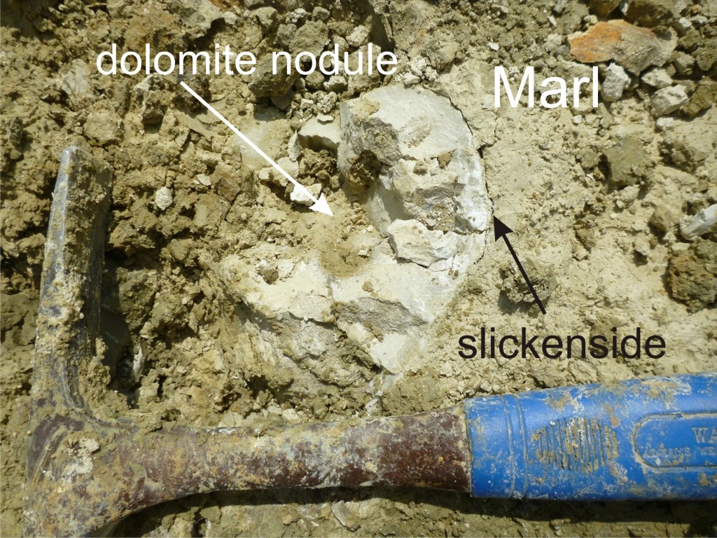 Fig. 4: Authigenic dolomite nodule and slickensides.